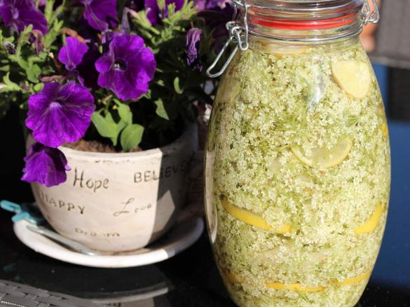 Holunderblütenlikör