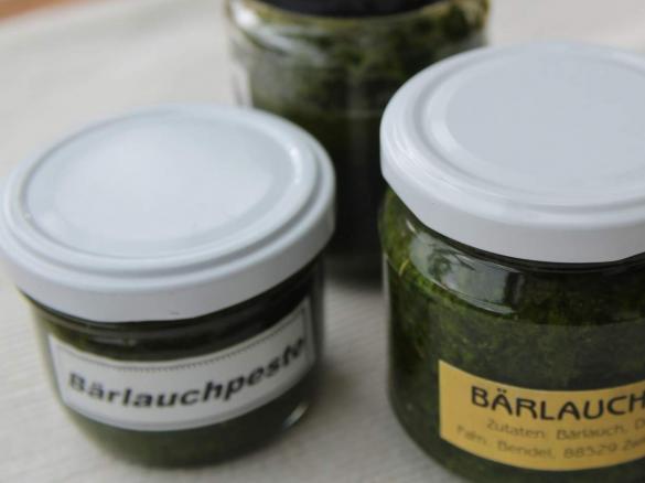 Frisches Bärlauchpesto