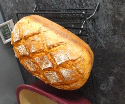 Zwiebelbrot