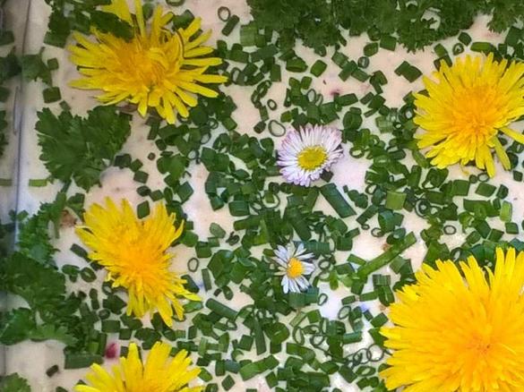 Frischkäsetorte Blumenwiese