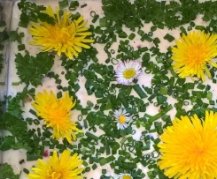 Frischkäsetorte Blumenwiese