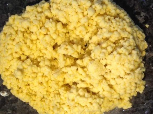 Nudelteig Hartweizen