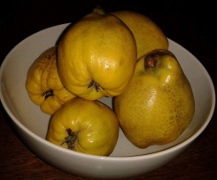 Lilas Quitte de Sel - Quittenmarmelade mal anders!