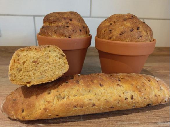 Zwiebelbaguette im Blumentopf