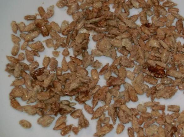 Gebrannte Sonnenblumenkerne