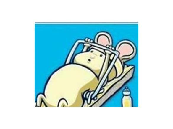   Rote Beete Schafskäse Walnuss Salat