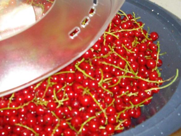 Johannisbeergelee einfach