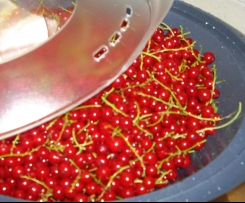 Johannisbeergelee einfach