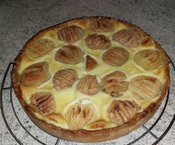 Apfelkuchen mit Guss