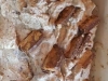 Snickers Eis