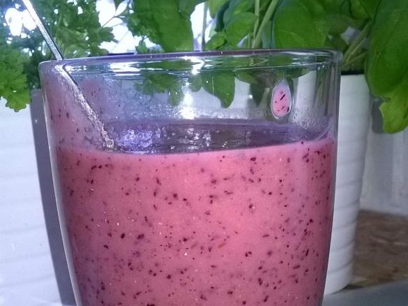 Blaubeer Apfel Bananen Kiwi Smoothie Shake Saft