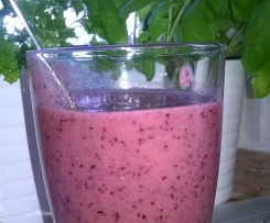 Blaubeer Apfel Bananen Kiwi Smoothie Shake Saft