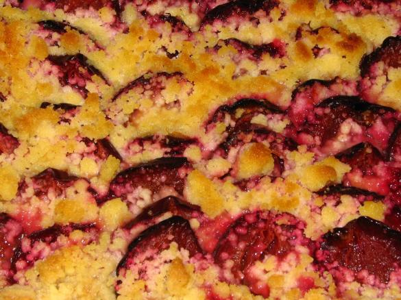 Zwetschgenkuchen / Zwetschgendatschi mit Quarkölteig