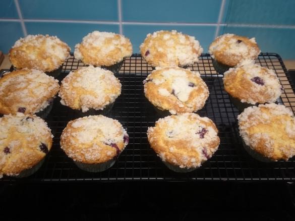 Blueberry-Muffins