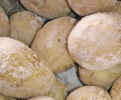 Kanarische Runzelkartoffeln