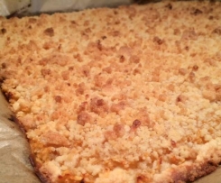 Apfelkuchen mit Streuseln -super schnell-