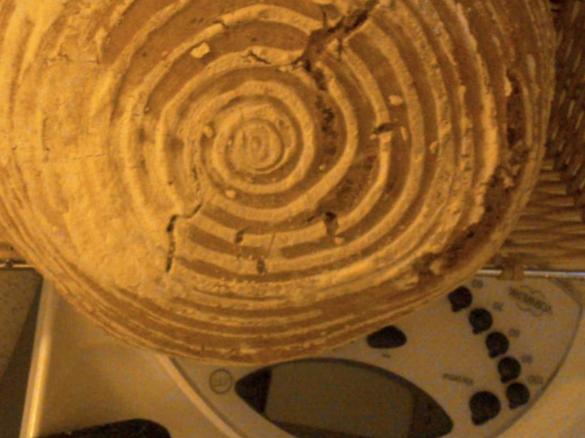 Münsterländer Bauernstuten