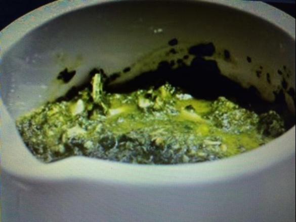 Variation Pesto von Grüne Soße Kräutern