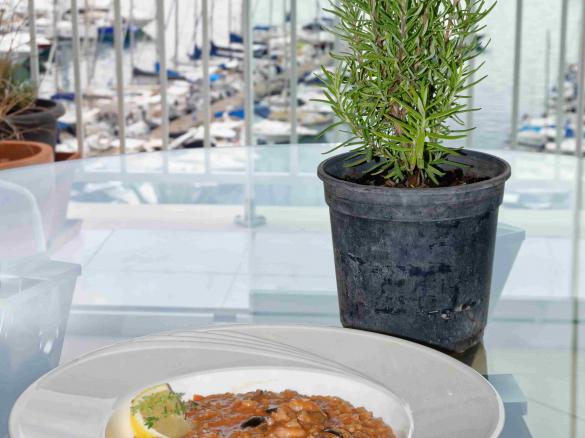 Garnelen-Risotto mit Tomaten und Oliven