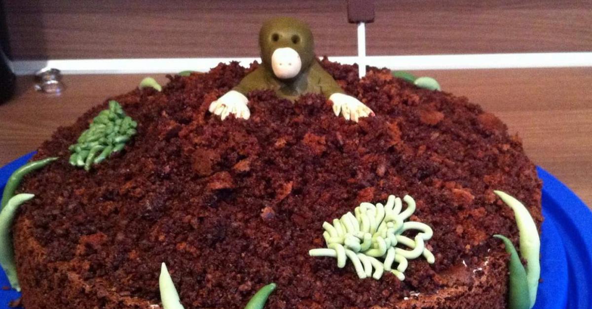 Schokoladigste und schnellste Maulwurftorte/ Maulwurfkuchen von ...