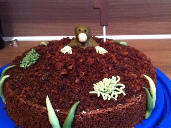 Schokoladigste und schnellste Maulwurftorte/ Maulwurfkuchen