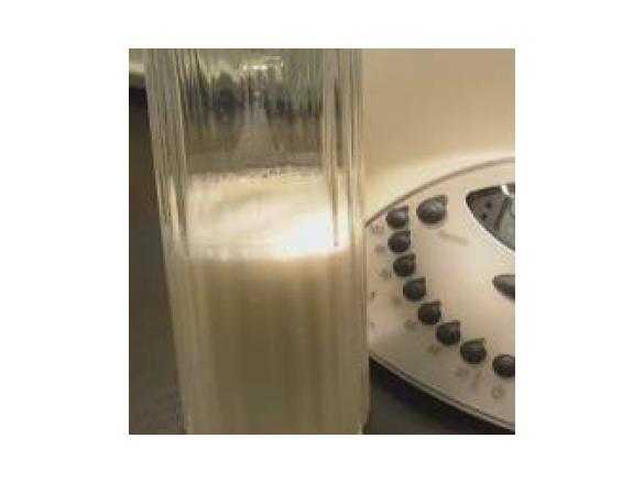 Kokosmilch aus Kokosraspeln