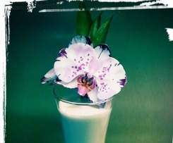 Ananas-Bananen-Shake