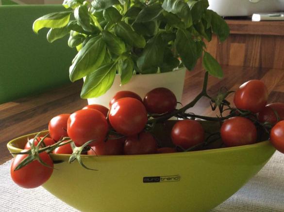 Tomate Basilikum Dip - Der Beste!!!