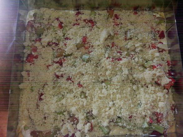 Variation von Rhabarberkuchen mit Puddingcreme