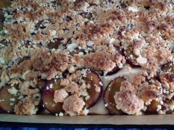 Fluffiger Pflaumenkuchen mit Streuseln