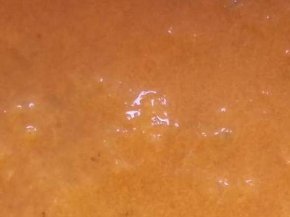 Tomaten-/Gemüsesauce zu Pasta