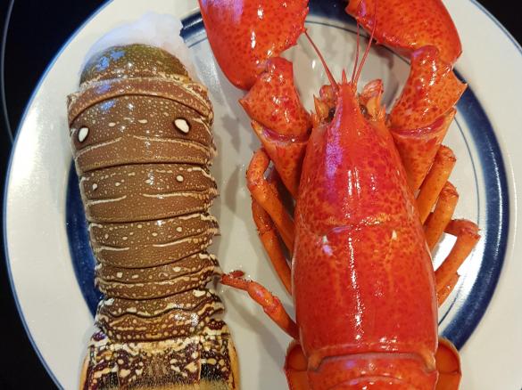 Gerrys Hummer-Spaghetti an Silvester