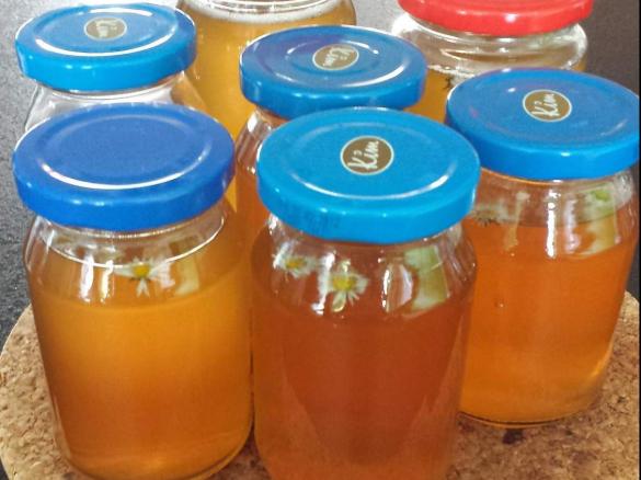 Gänseblümchen Gelee