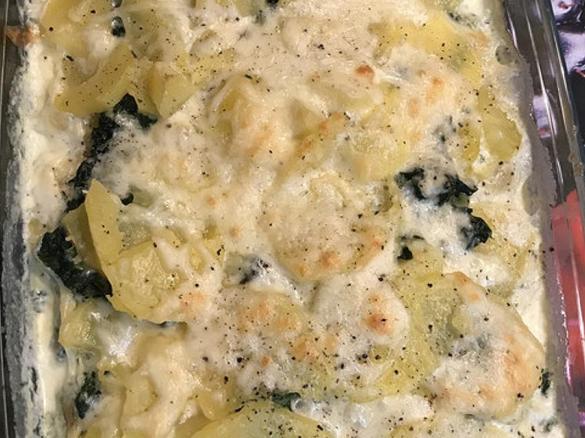 Kartoffelgratin mit Spinat