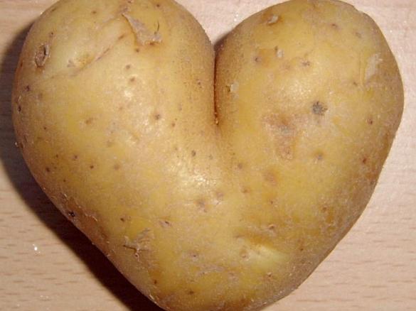 Kartoffelbrei & Gemüse mit Soße