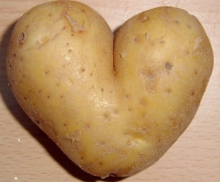 Kartoffelbrei & Gemüse mit Soße