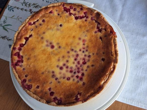 Johannisbeer-Schmand-Kuchen