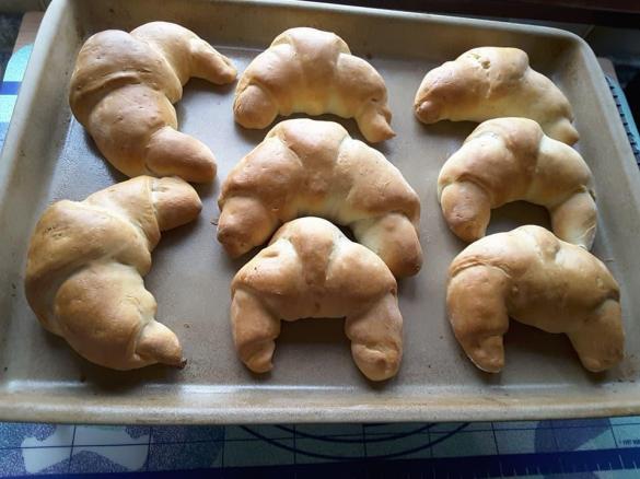 Mohnhörnchen, Hörnchen