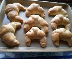 Mohnhörnchen, Hörnchen