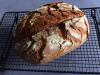Landbrot ohne Gehzeit