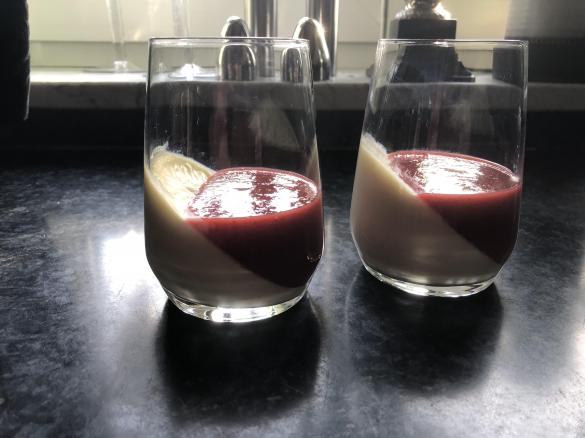 Panna Cotta mit Tonkabohne und Fruchtsauce