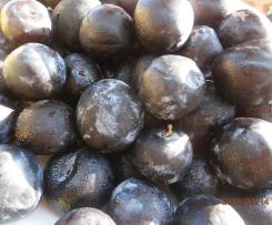 FRUCHTEIS PFLAUMEN  TRAUM