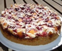 Himbeer-Aprikosen-Kuchen