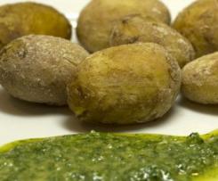 Grüne Mojo (Mojo Verde)