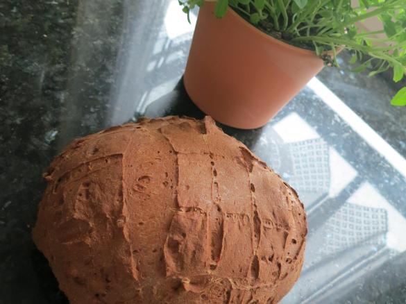 Kartoffelfaserbrot Low Carb