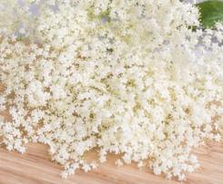 Holunderblütengelee