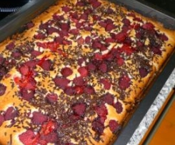 Himbeer-Blechkuchen ♥ süßes Kuchenglück ♥