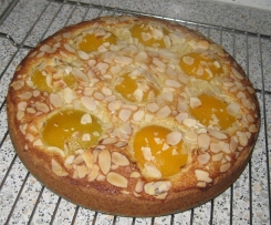 Aprikosenkuchen
