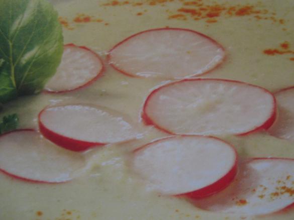 Geeiste Gurkensuppe- sommerlich erfrischend und leicht