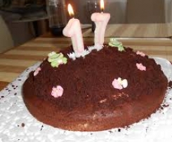 Elinas´Maulwurfkuchen